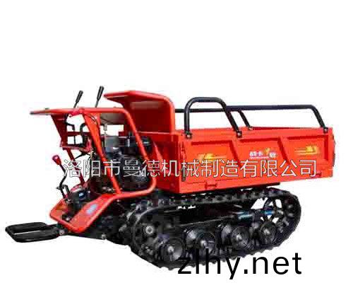 履(lv)帶(dai)運(yun)輸車(chē)(che)